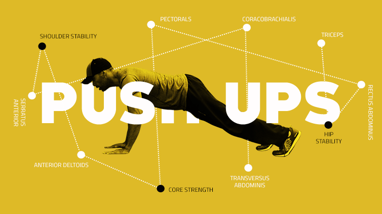what_muscles_do_push_ups_work