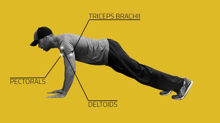 Why You Should Do Push Ups For The Rest Of Your Life | Brickell and ...