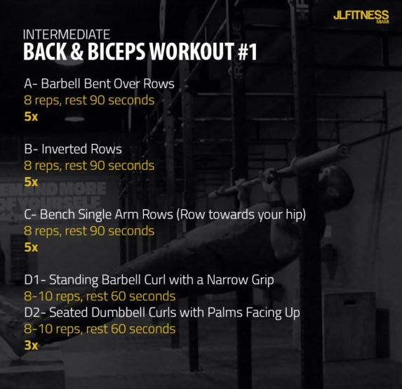Six Back and Bicep Workouts