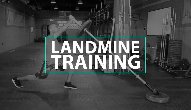 landmine-training