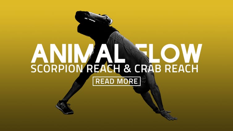 scorpion_reach_crab_reach