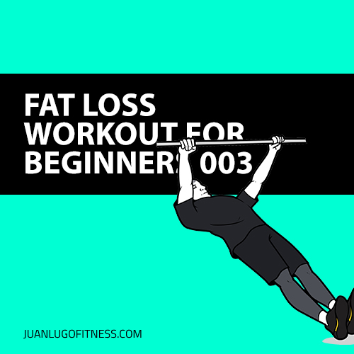 Fat Loss Workouts for Beginners 003
