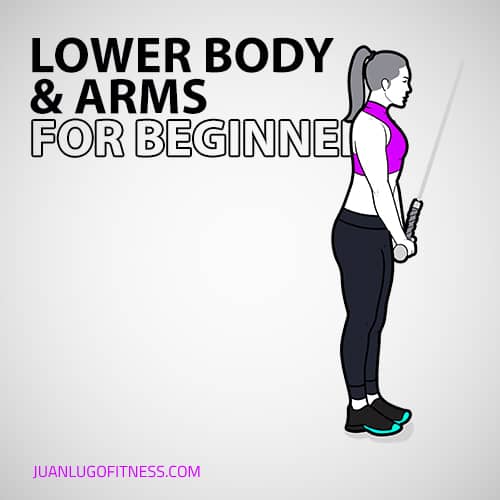 Lower Body & Arms for Beginners