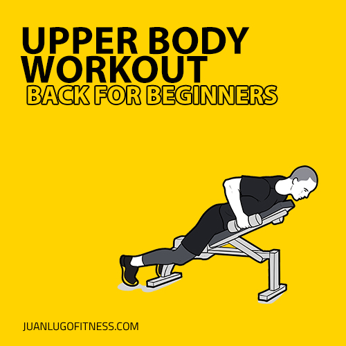 Upper Body Workout- Back For Beginners