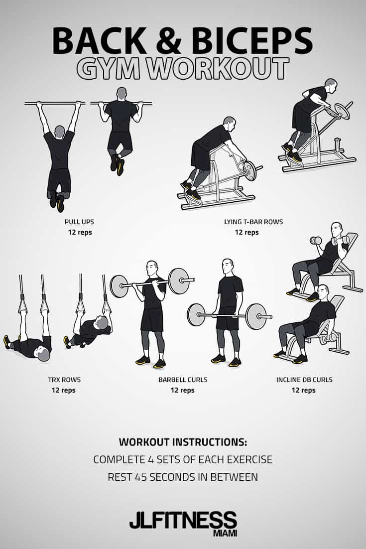 Back & Biceps Gym Workout | JLFITNESSMIAMI